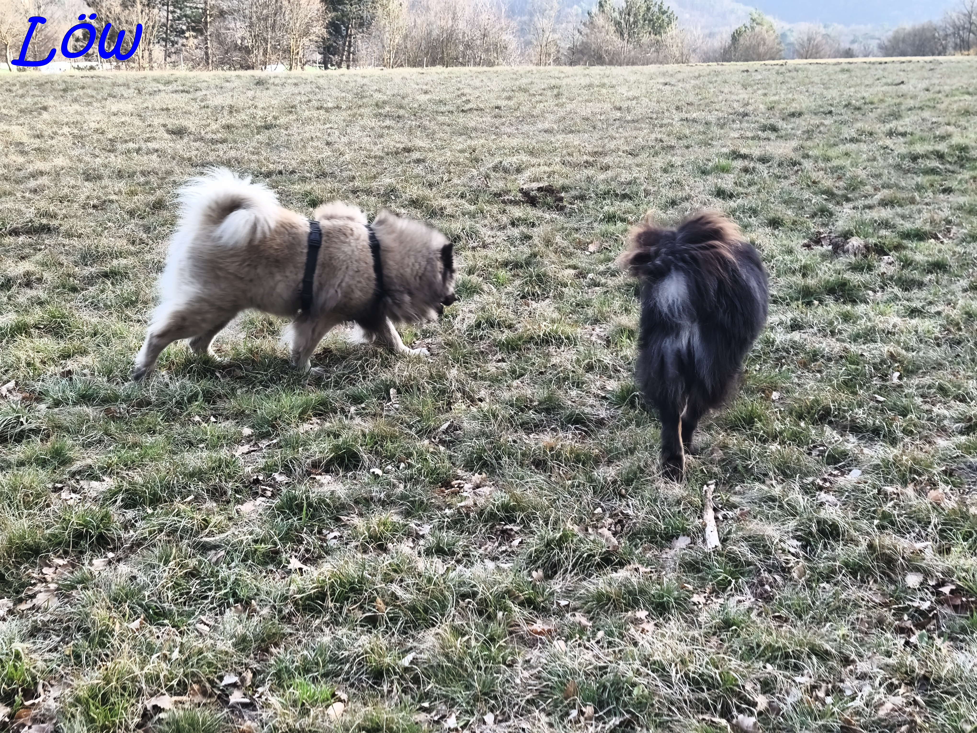 21.3.2025 - Dwix und Howard